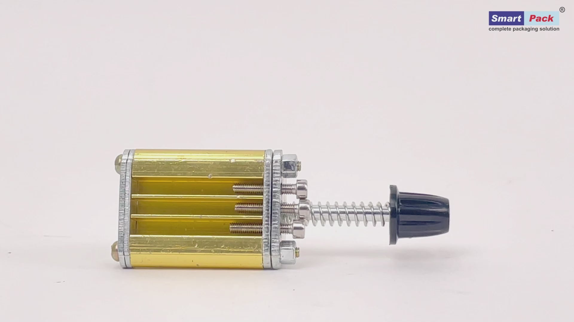 Letter holder for ribbon batch coding machine